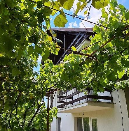 Cazare Vila Maria Apartment Curtea De Arges Ngoại thất bức ảnh
