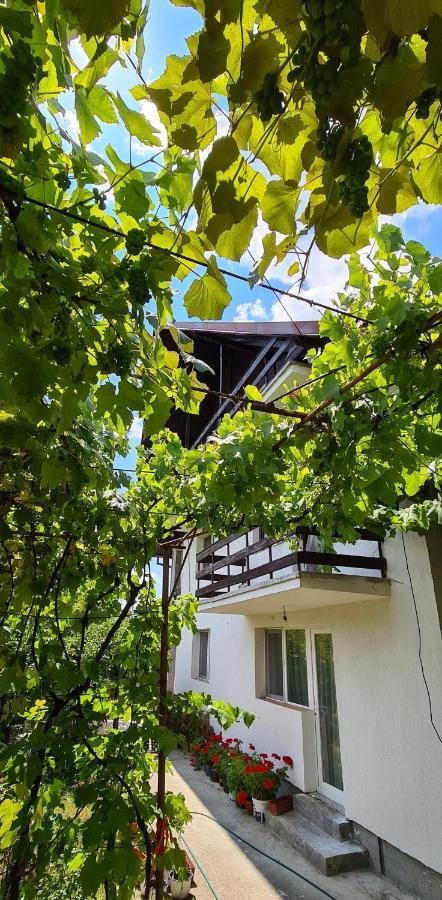 Cazare Vila Maria Apartment Curtea De Arges Ngoại thất bức ảnh