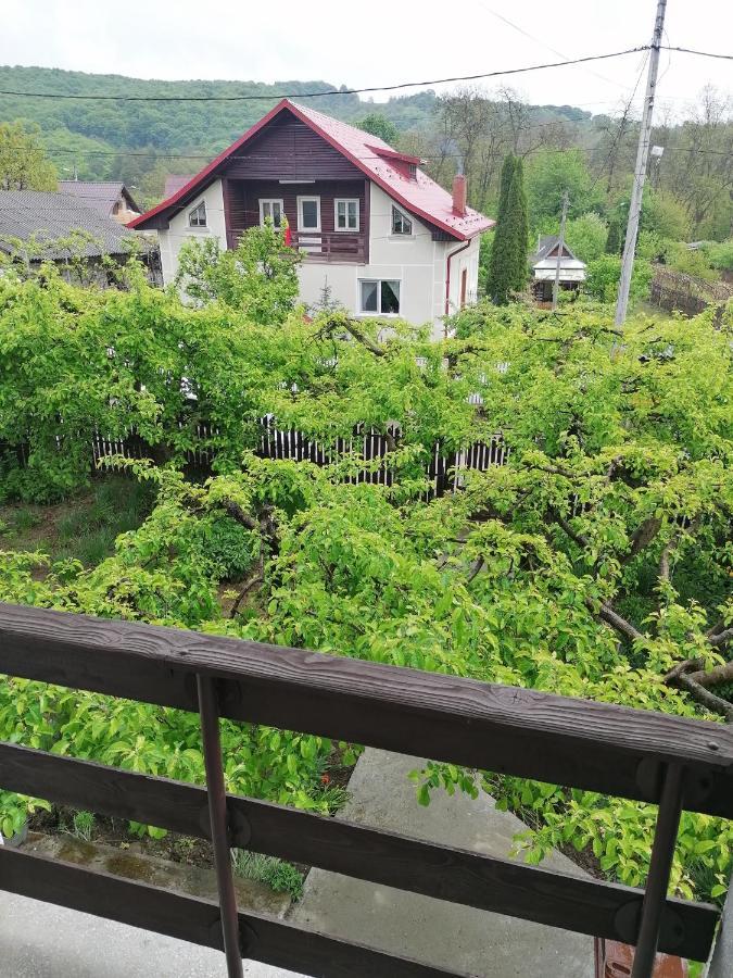 Cazare Vila Maria Apartment Curtea De Arges Ngoại thất bức ảnh