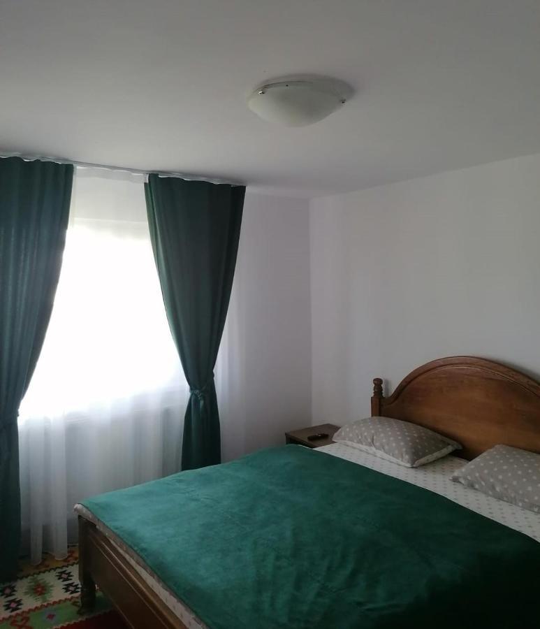 Cazare Vila Maria Apartment Curtea De Arges Ngoại thất bức ảnh