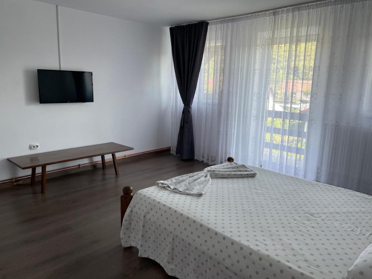 Cazare Vila Maria Apartment Curtea De Arges Ngoại thất bức ảnh