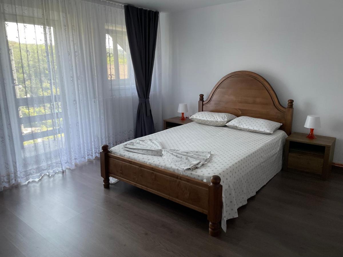 Cazare Vila Maria Apartment Curtea De Arges Ngoại thất bức ảnh
